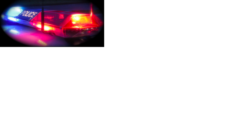 Opelika driver dies after logs fall off truck, crash into vehicle, police say - Vimarsana News