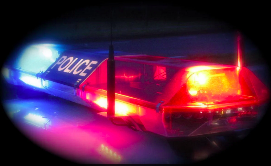 Valley police discovers unidentified human remains