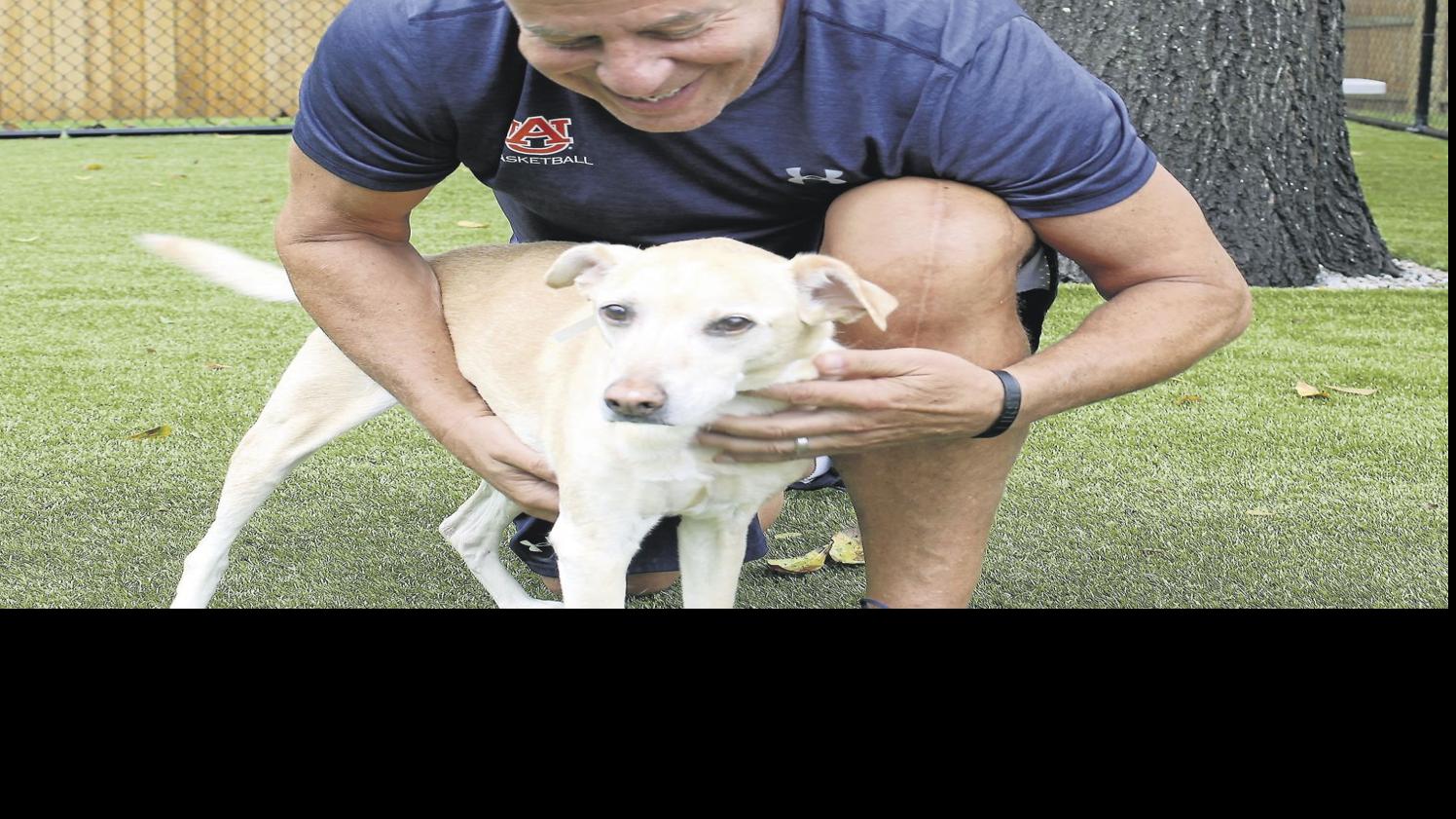 Turner Auburn S Bruce Pearl Has Gone To The Dogs With Wife And New Business Partners Local News Oanow Com