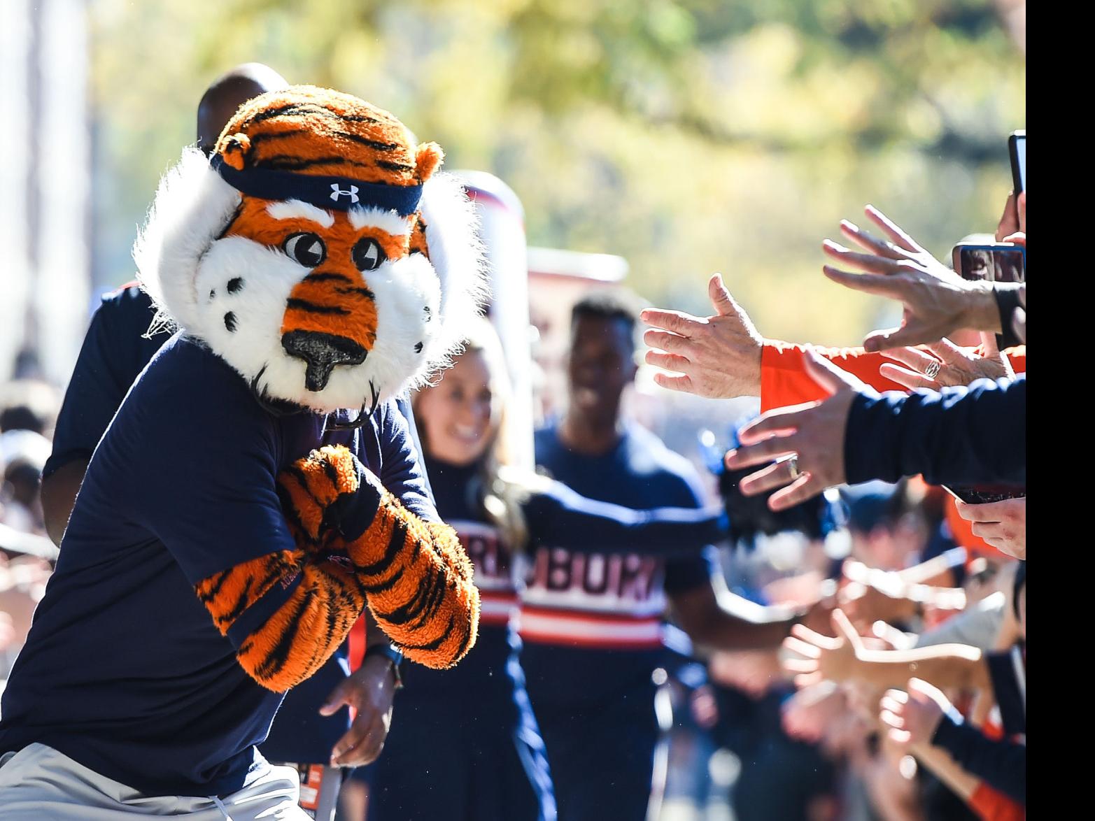 Aubie The Tiger Beats Another Sec Mascot To Become Most Decorated Collegiate Mascot Of All Time Local News Oanow Com The advantage of transparent image is that it can be used efficiently. aubie the tiger beats another sec