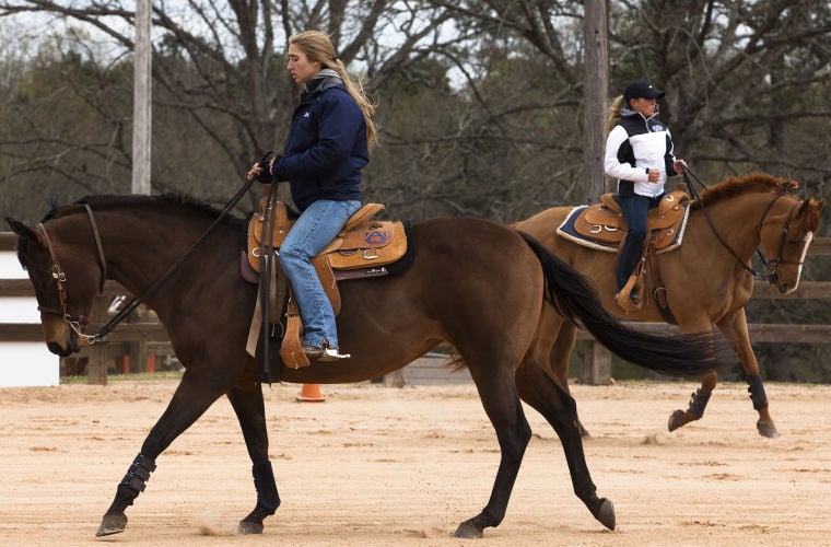 A LONG TIME COMING Auburn set to host inaugural SEC Equestrian