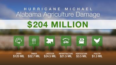 Hurricane crop loss graphic