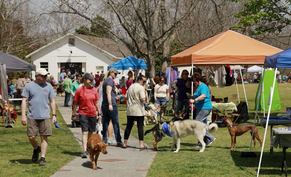 PHOTOS Bark in the Park