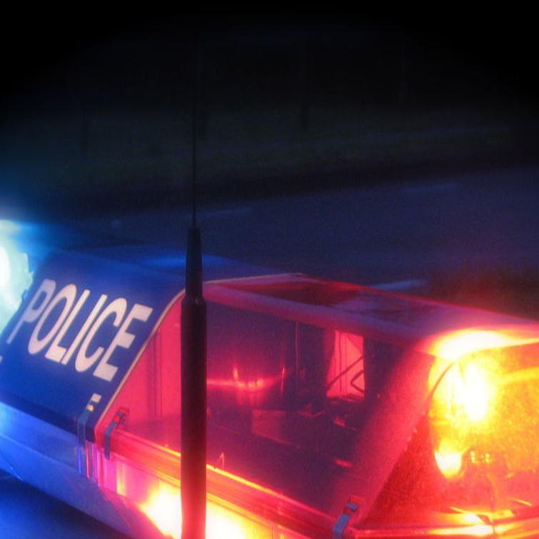 Police Reports From July 16 Local News Oanow Com