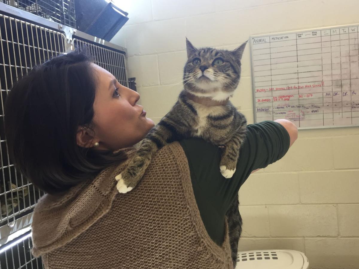 Lee County Humane Society