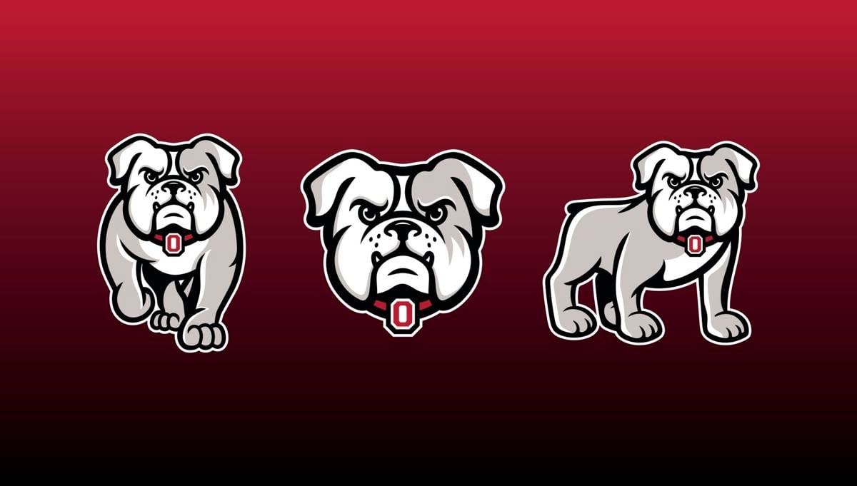 Opelika City Schools unveils new bulldog logo