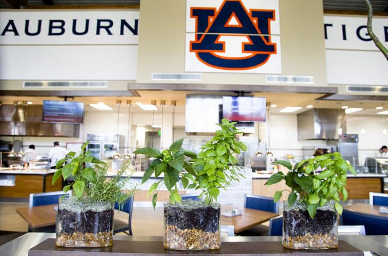 Auburn University Wellness Kitchen opens