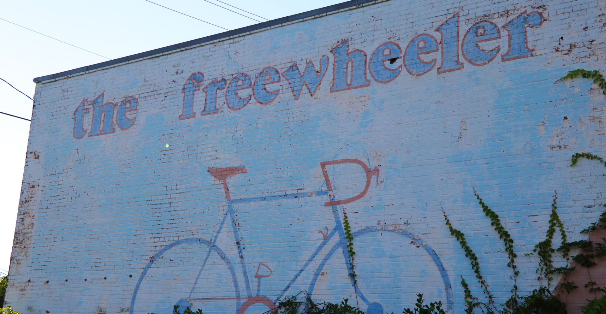 The freewheeler bike discount shop