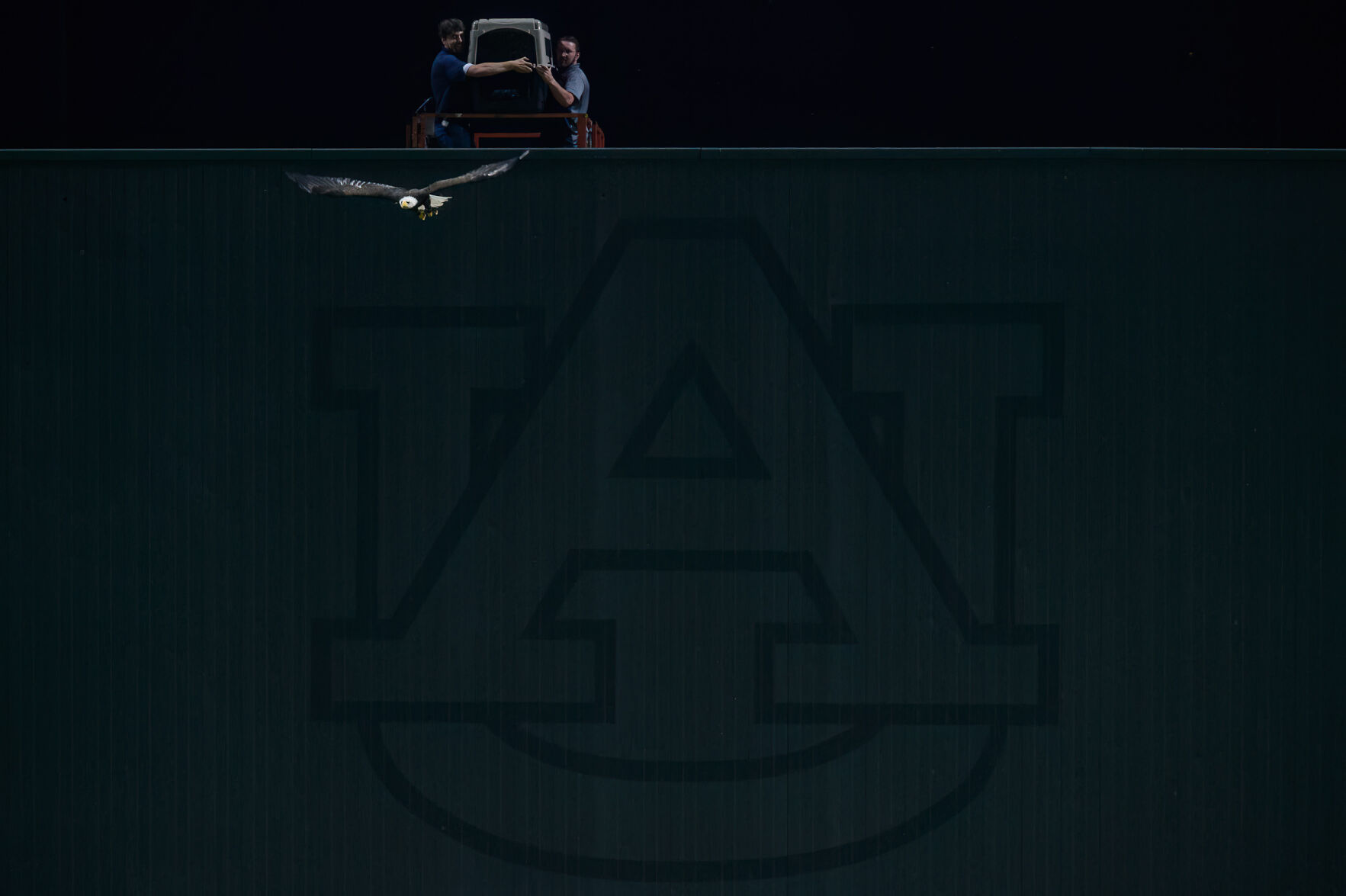 Photos and video First eagle flight at Auburn’s Plainsman Park