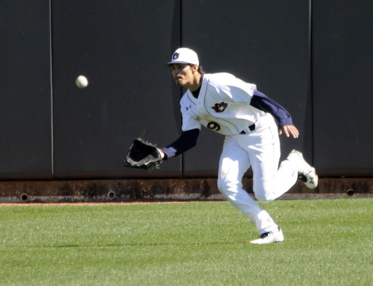 Auburn baseball opens season with sweep over Maine