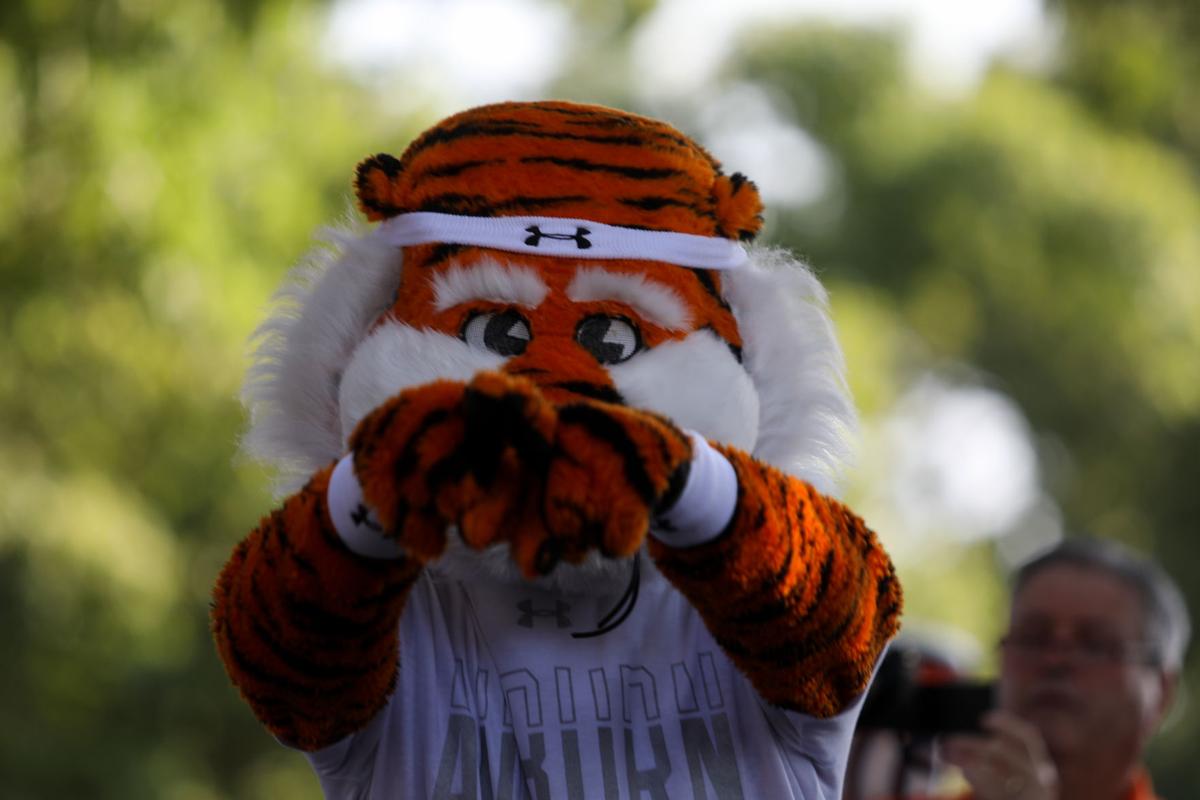 Gameday Guide Kent State At Auburn Auburn University Sports News Oanow Com