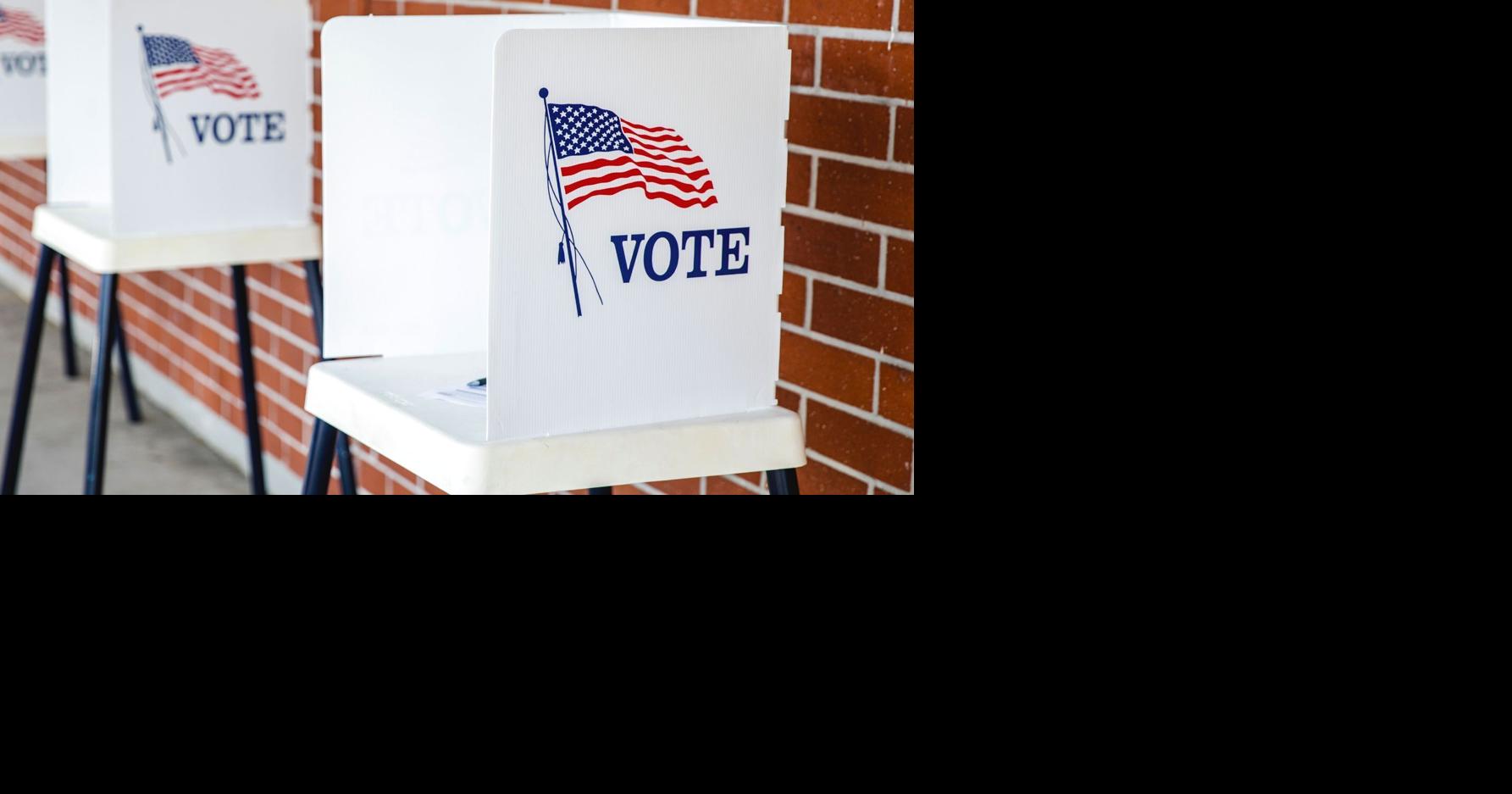 2026 General Election: A voter guide for Lee County