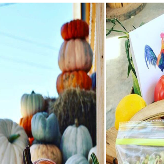 George S Farmers Market An Authentic Auburn Family Business The