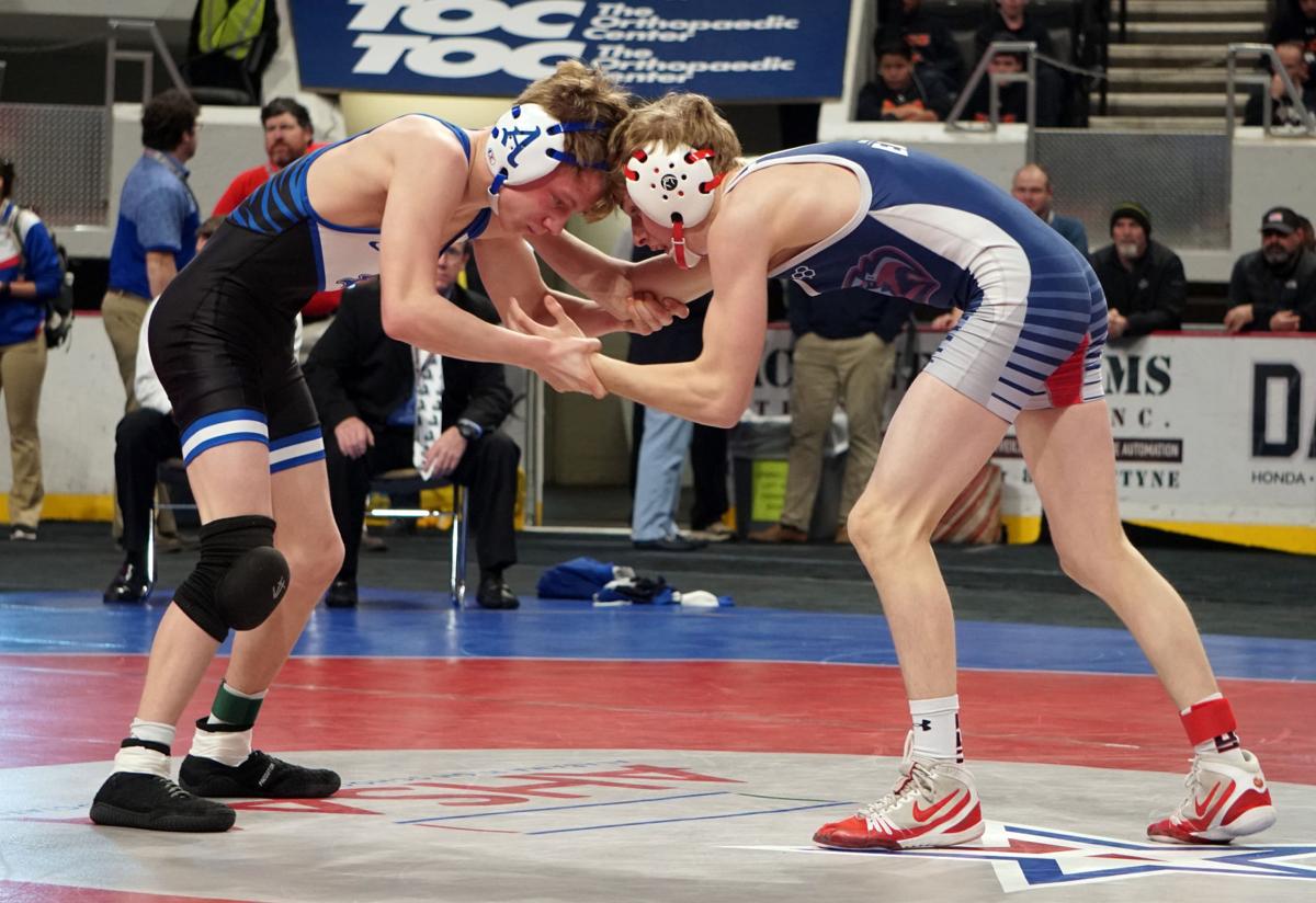 Trio Of Local Seniors Cap Careers With State Titles High School Sports News Oanow Com