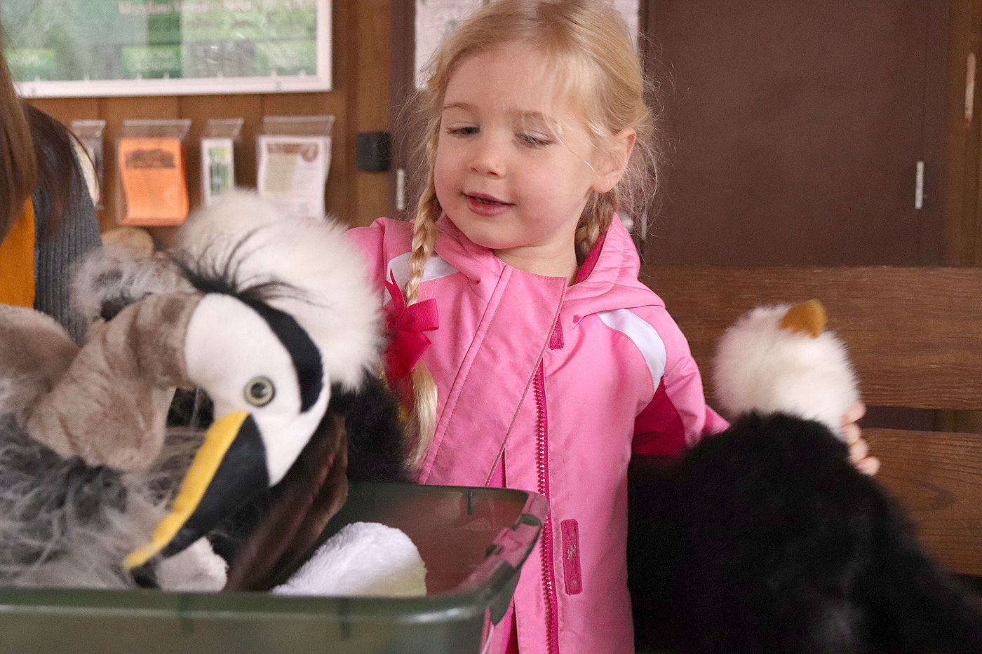 audubon society stuffed birds