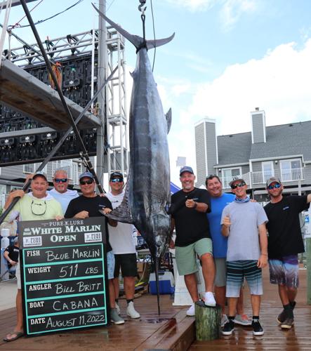 First place white marlin worth $4.5 million, new record, Sports