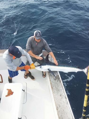 Overnight fishing offered during OC Marlin Club tournament, Sports