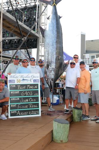 Floor Reel qualifies sole billfish at the White Marlin Open