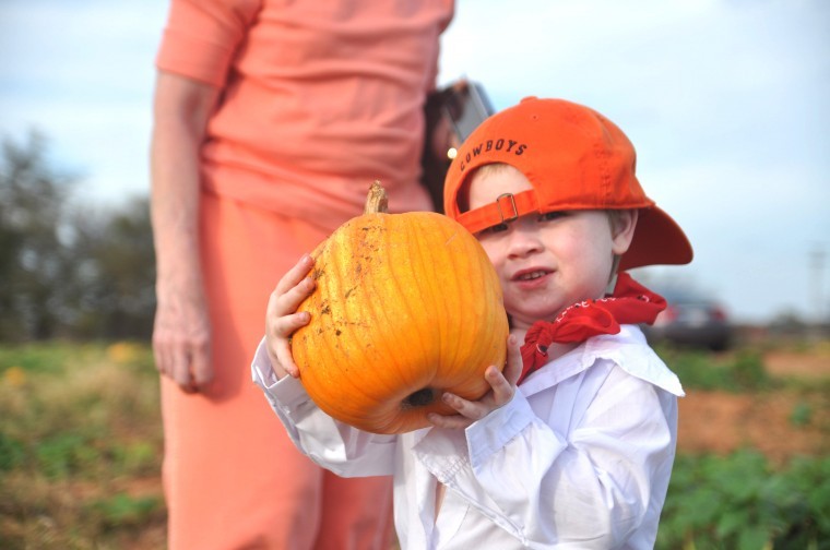 pumpkin patch near stillwater ok