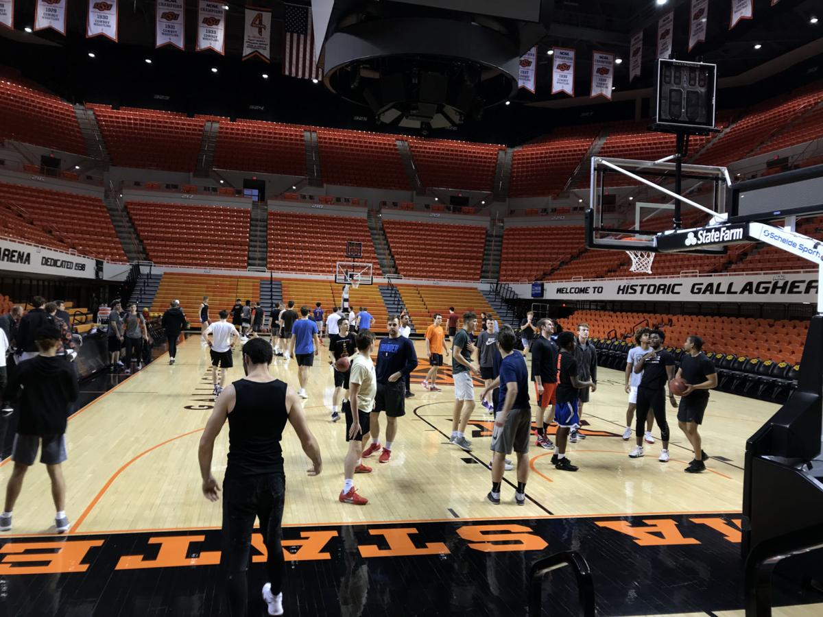 Turning 21 Trying Out For Osu Basketball Ocolly Com Turning 21 Trying Out For Osu Basketball Ocolly Com