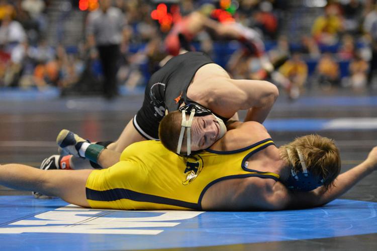 Round 1 of NCAA Wrestling Tournament brought 7 wins and 2 losses Gallery