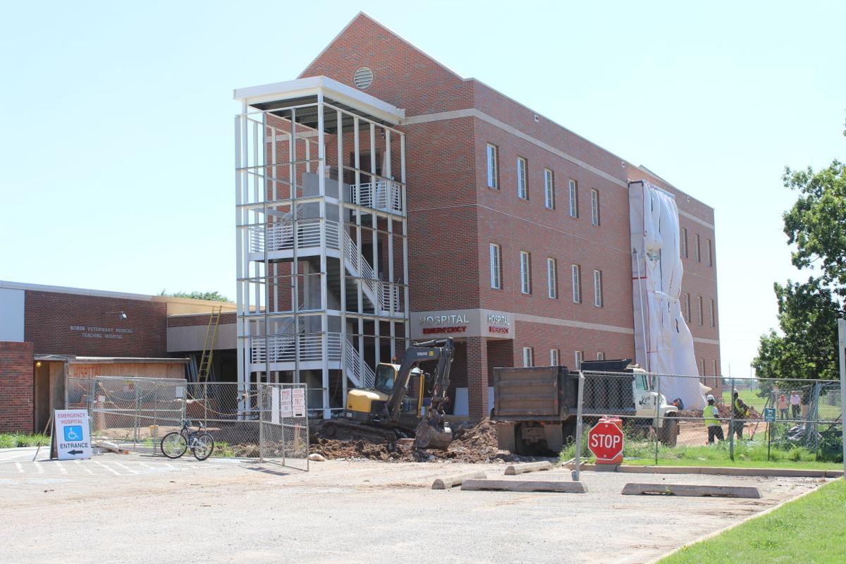 OSU’s veterinary clinic AAHA accredited for 35 years News