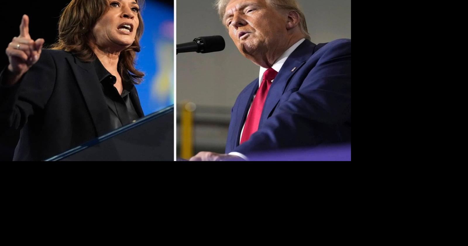 What you need to know about the 2024 presidential election candidates