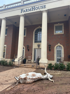 Dead longhorn found outside FarmHouse fraternity house | News | ocolly.com