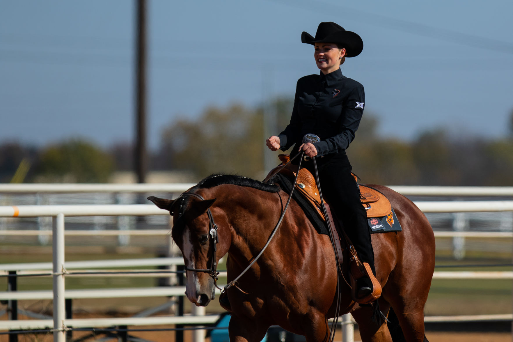 horse and rider tack