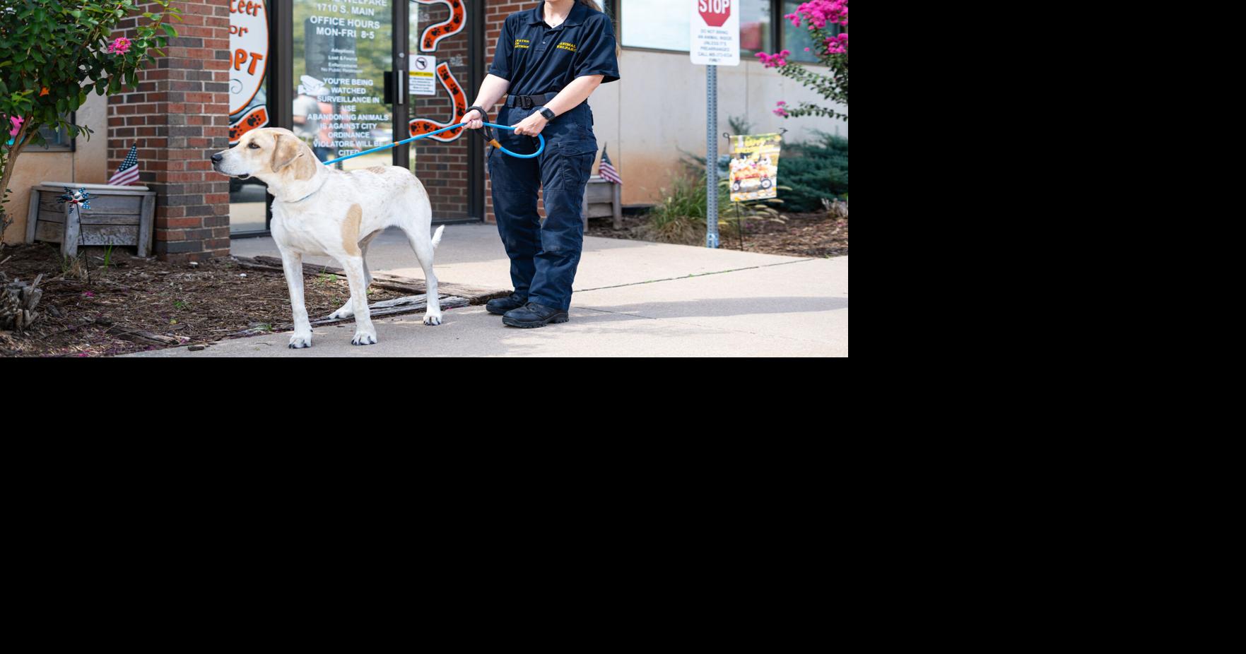 Stillwater Animal Welfare educates residents on pet healthcare | Stillwater