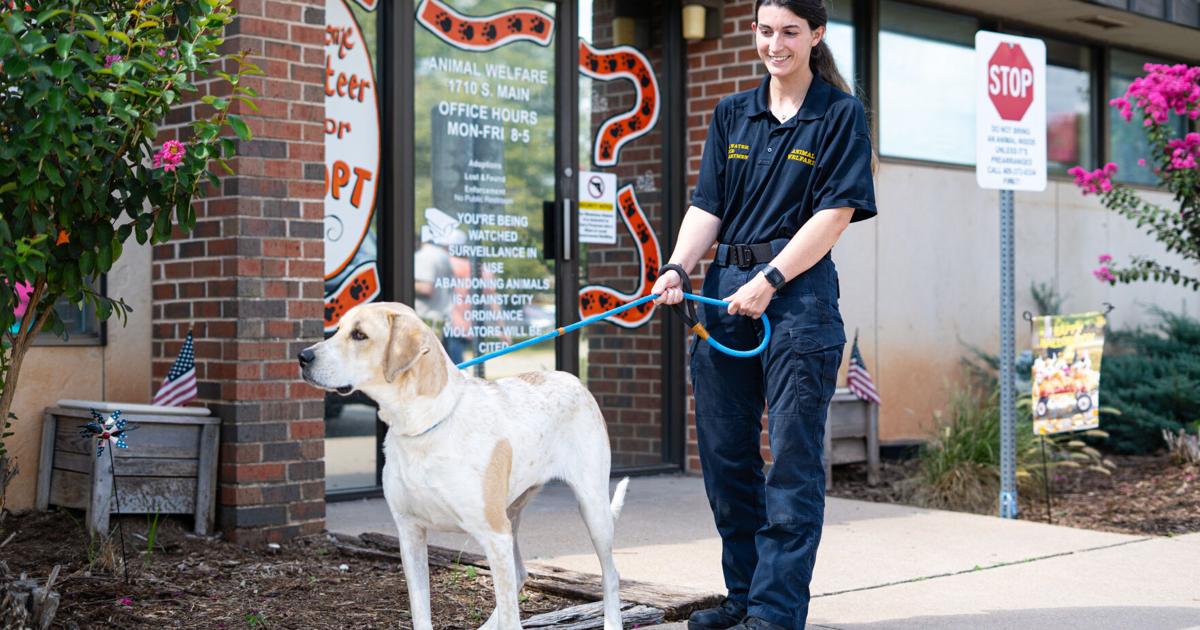 Stillwater Animal Welfare educates residents on pet healthcare | Stillwater Stillwater Animal Welfare educates residents on pet healthcare | Stillwater