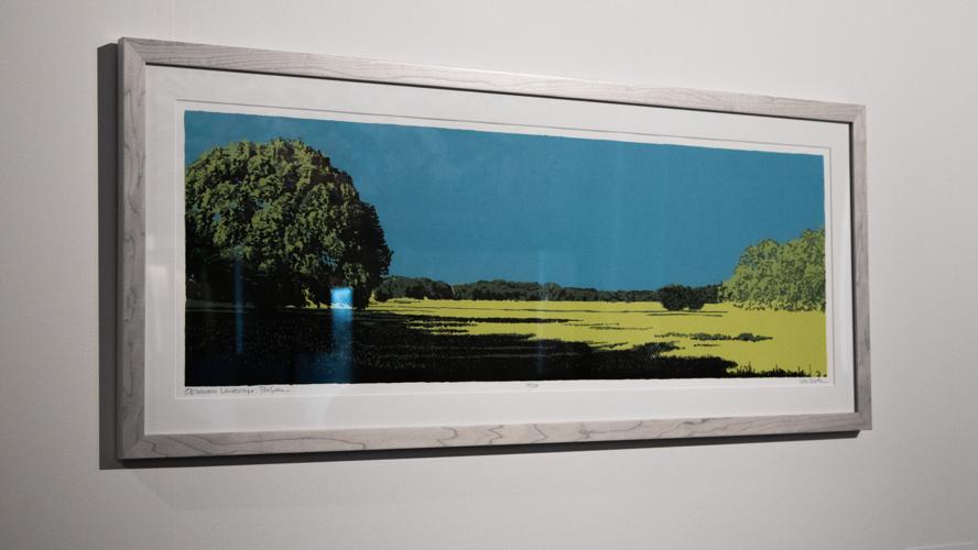 Roth explores landscapes in new exhibit | Entertainment | ocolly.com