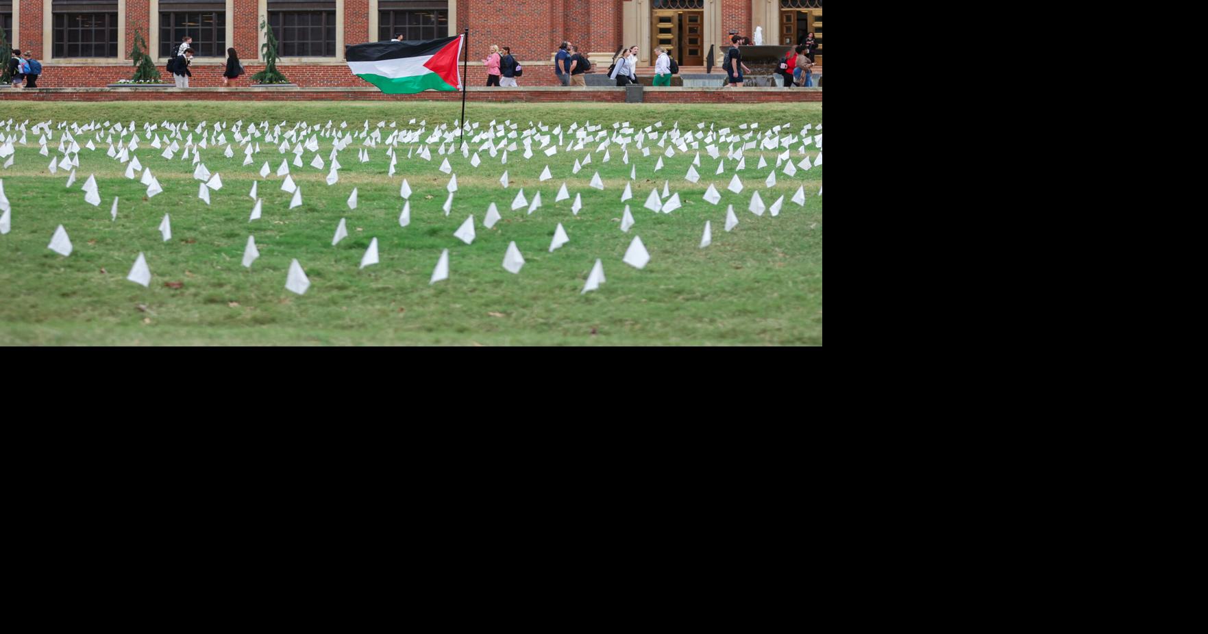 Palestine memorial flags stolen overnight from campus lawns