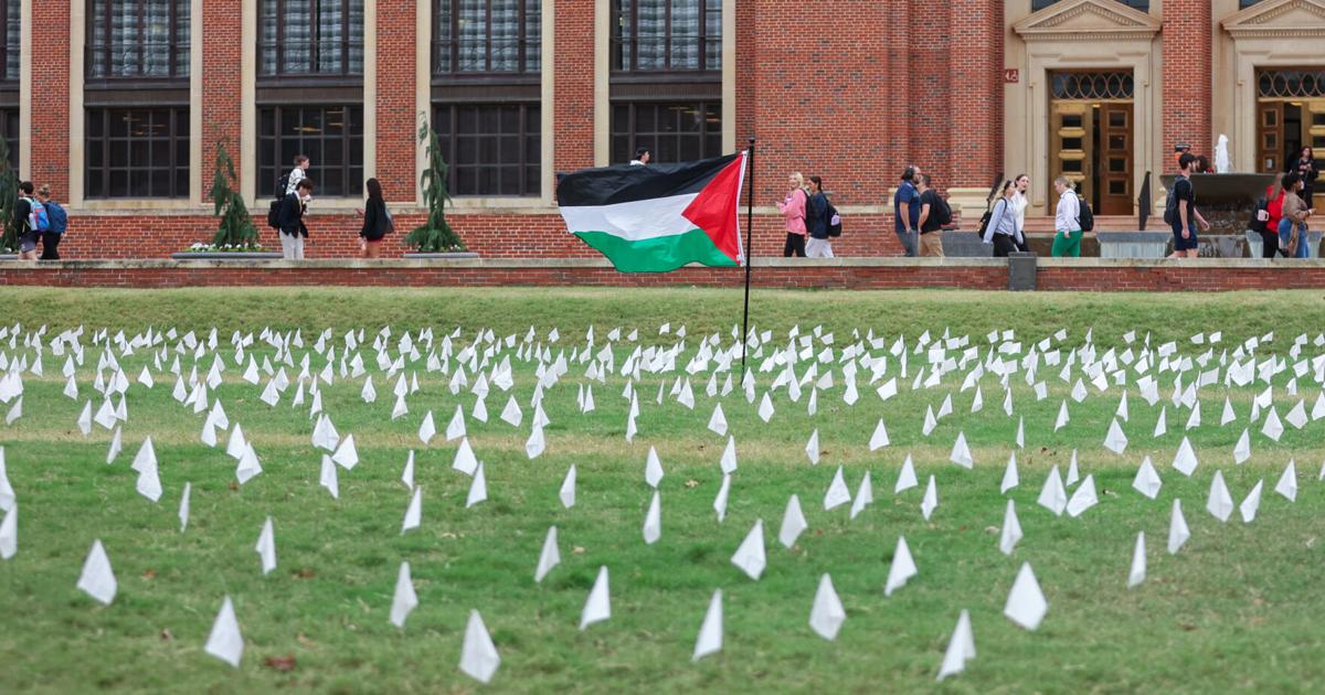Palestine memorial flags stolen overnight from campus lawns
