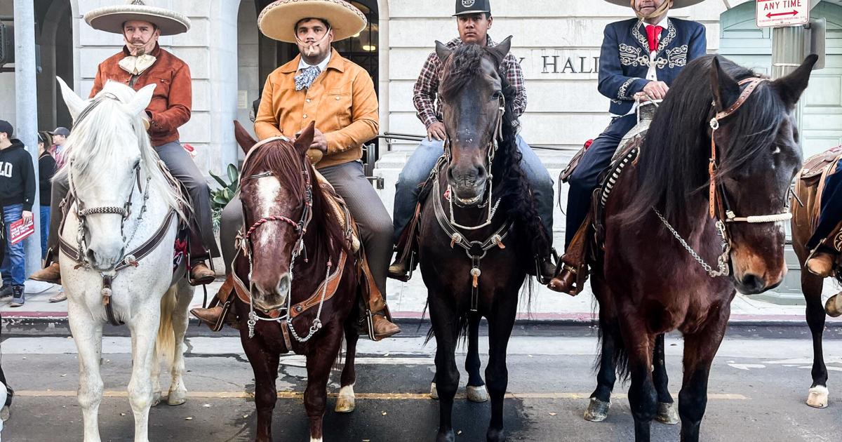 US-NEWS-LA-RODEO-BAN-LA | | ocolly.com