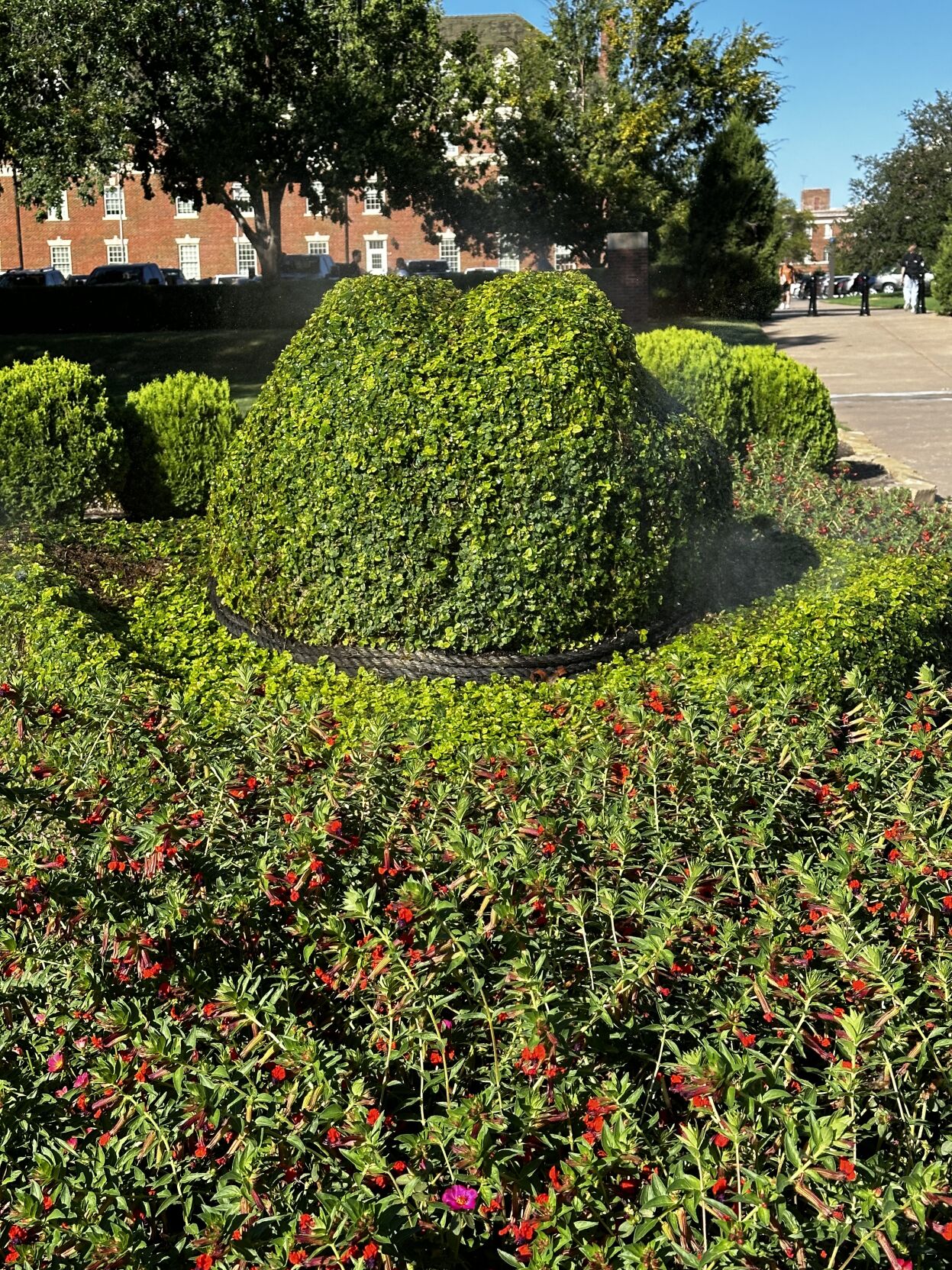 Long way from spring: OSU specialist says spring time will arrive in ...