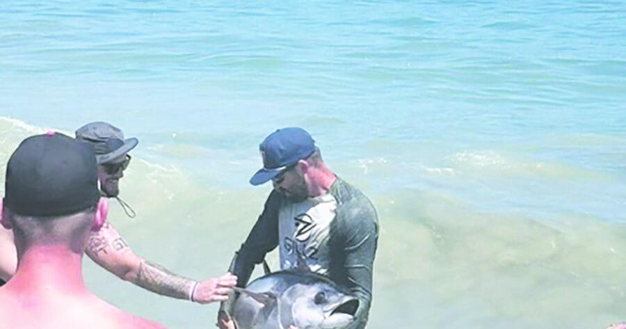 Bluefin tuna washes ashore on 91st Street, OCBP says