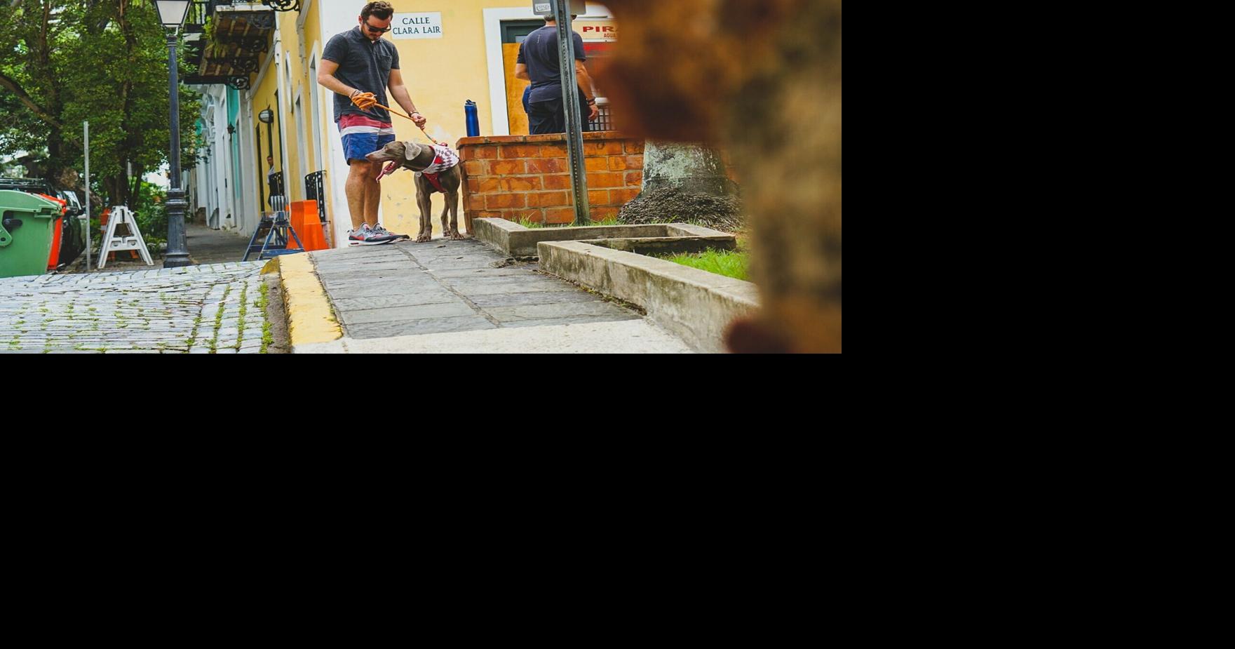Nearly half of Americans don’t want pets in public places
