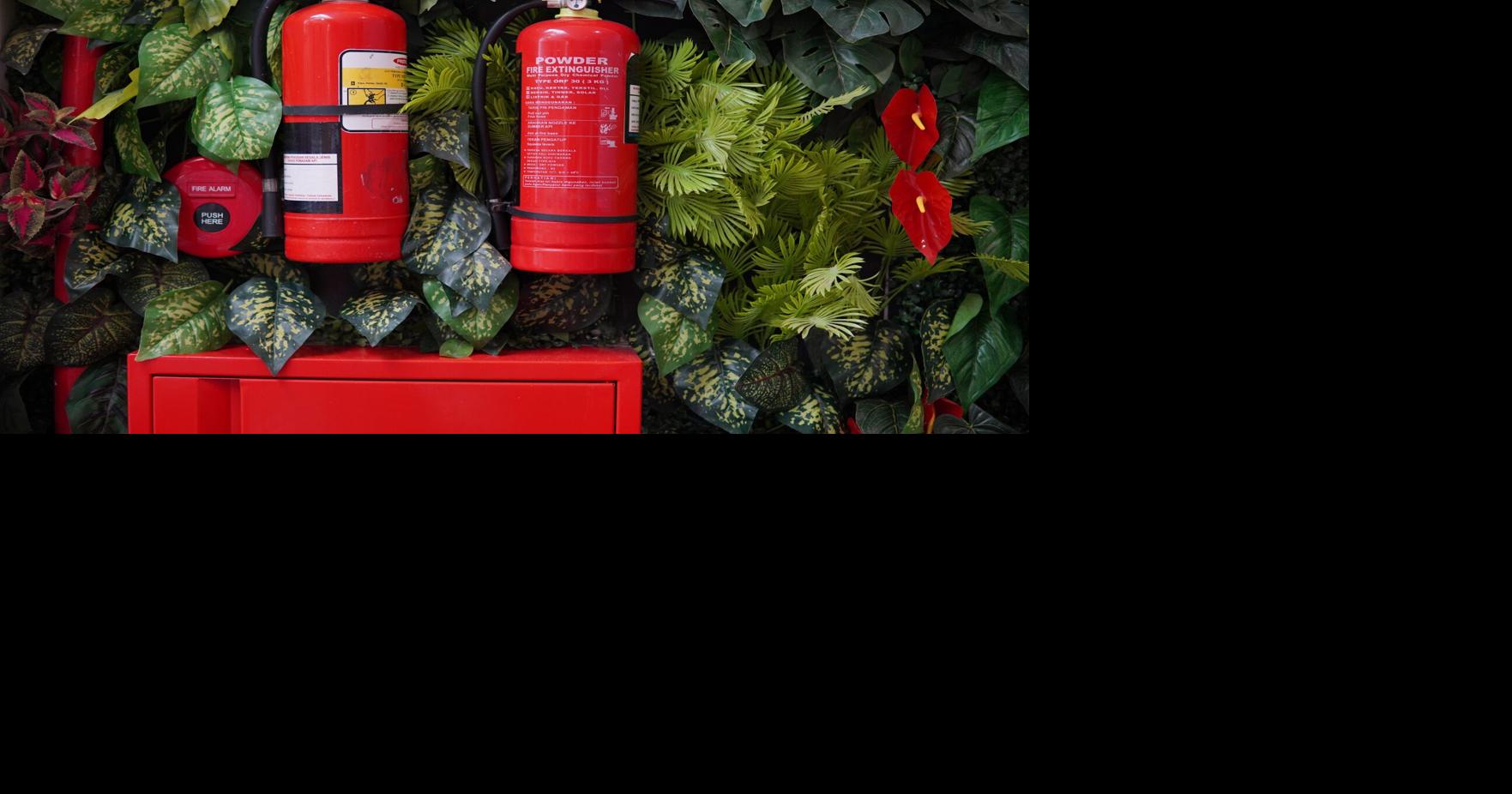 Ojai Library to host firewise-gardening talk | Outdoors ...