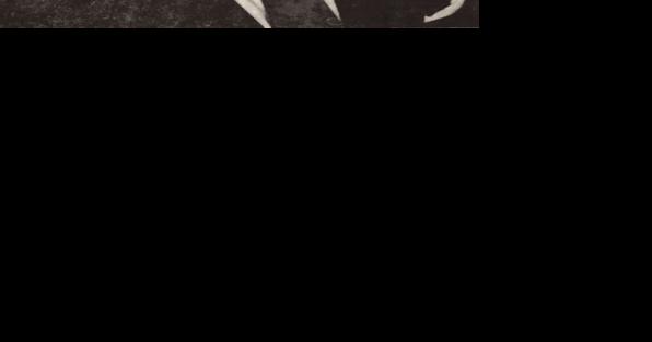 8-3-22, Ralph Jackson Steele, 81 - Vimarsana News