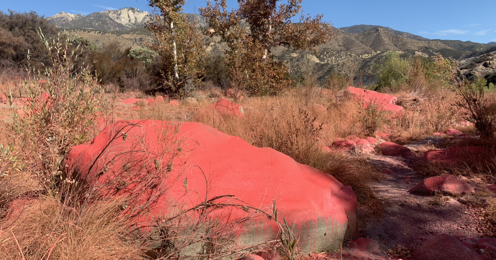 OPINION | How a small fire in the Sespe led to a Clean Water Act violation in federal court in Montana - Vimarsana News