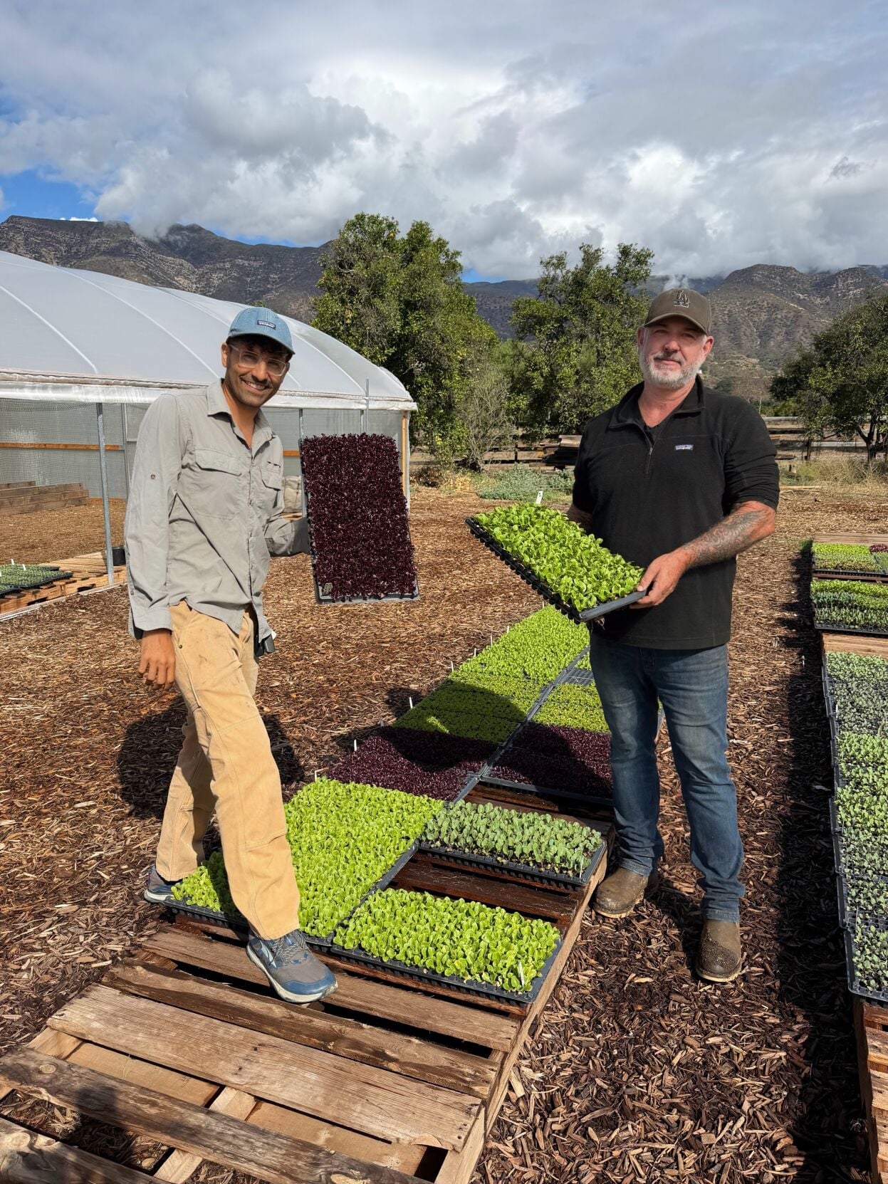 Midopoint At Mesa, Midpoint Organic Transplants yields abundant crops and ...