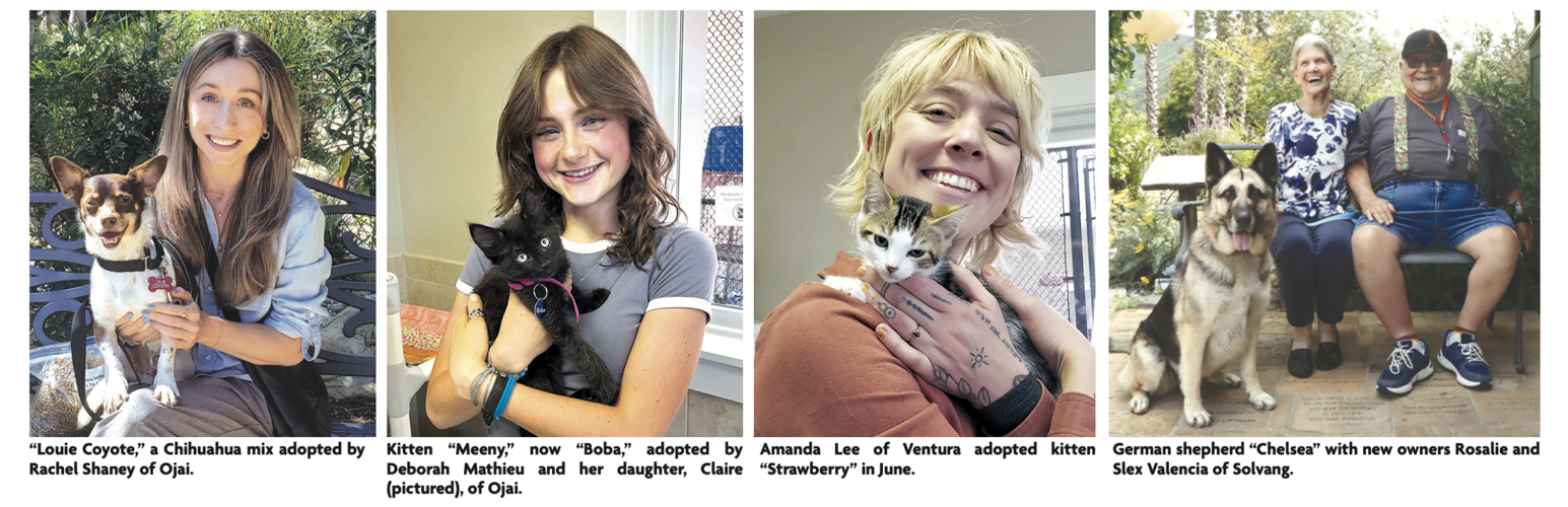 All pet adoptions at Ojai animal shelter free on Friday, Aug. 18 News