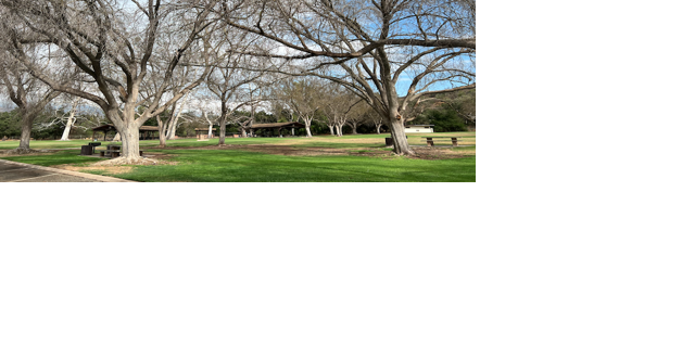 More trees, more pickleball planned for Soule Park - Vimarsana News