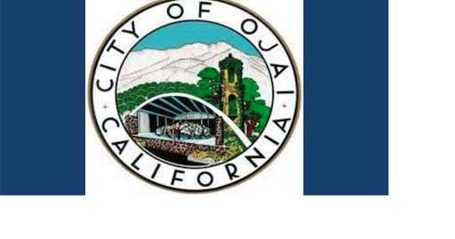 Council to review REACH codes, and allowing affordable housing at certain commercial sites - Vimarsana News