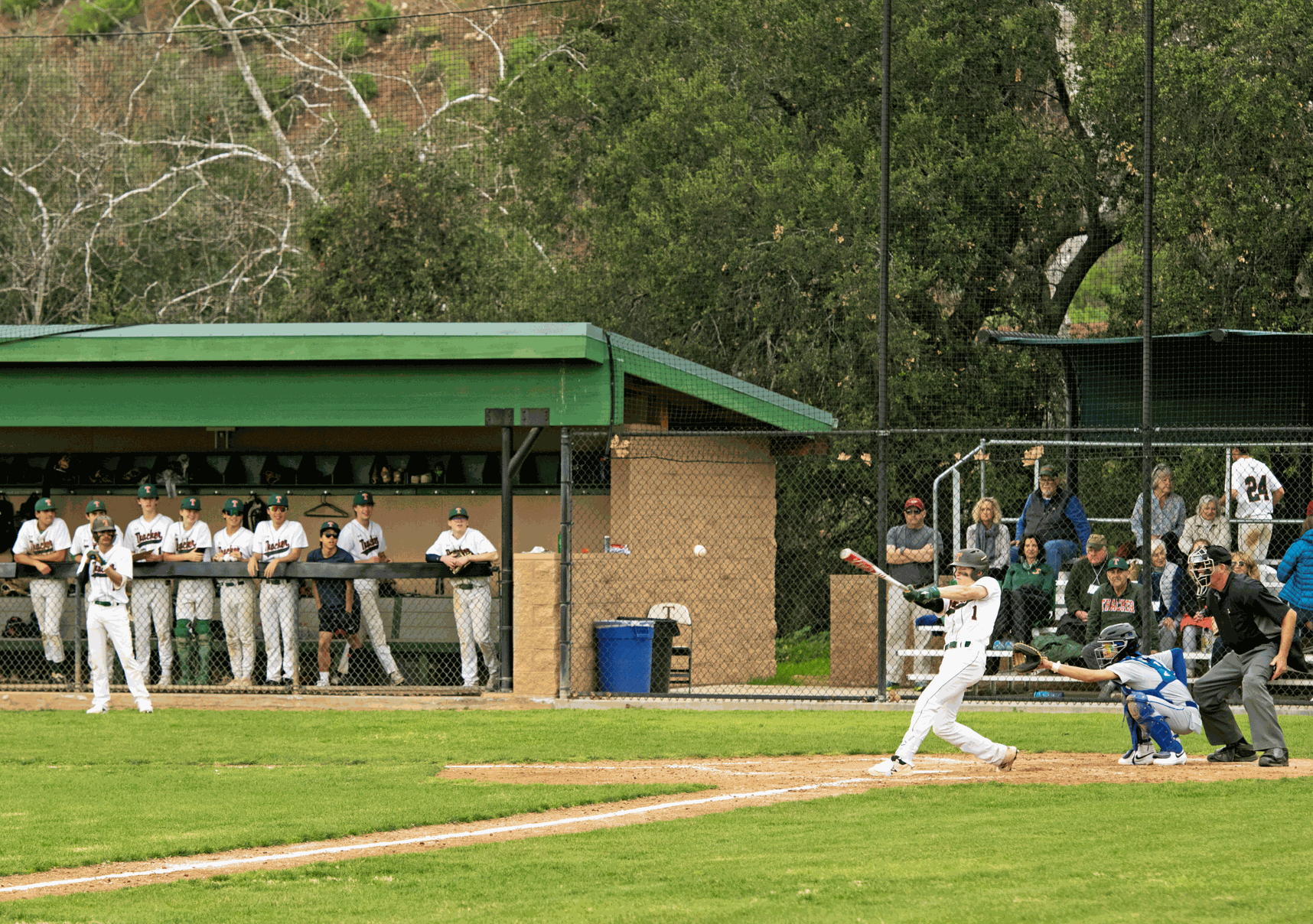 Toad Jr Toads baseball on win streak | Sports | ojaivalleynews.com