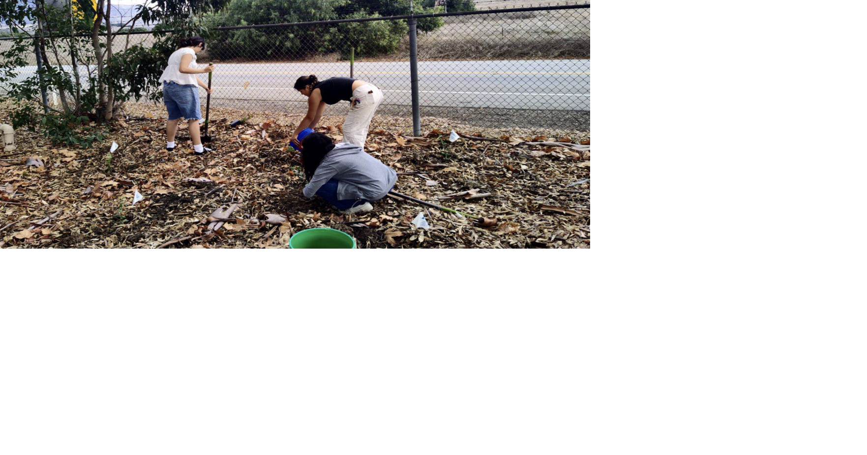 Nordhoff FFA students dig helping the environment | Education ...