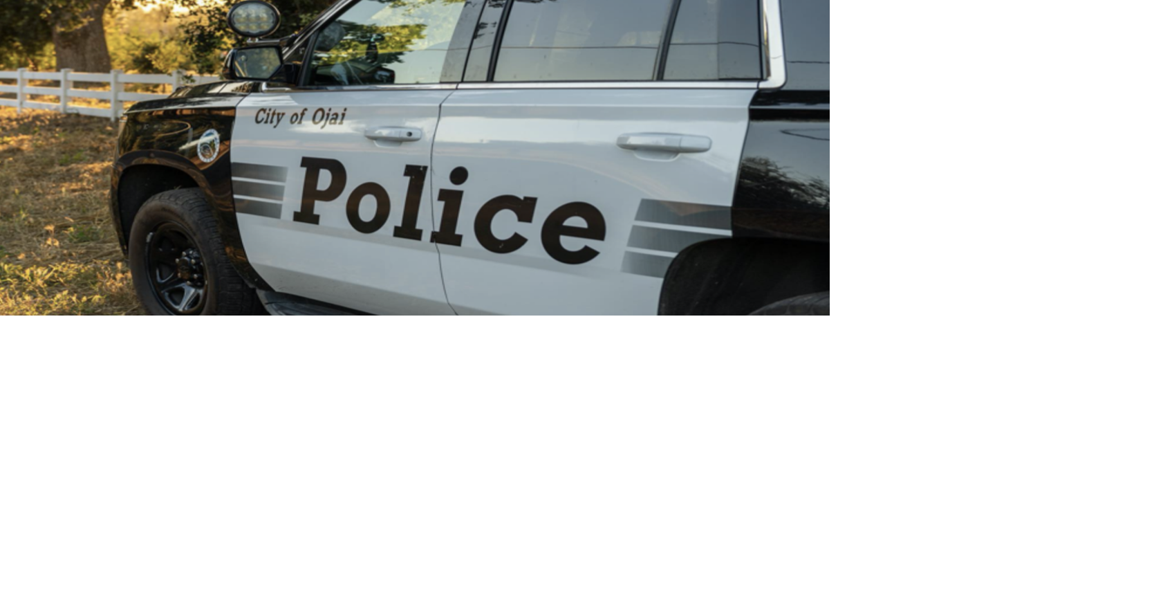 Meiners Oaks man arrested on child-annoying charges | Crime & Courts ...