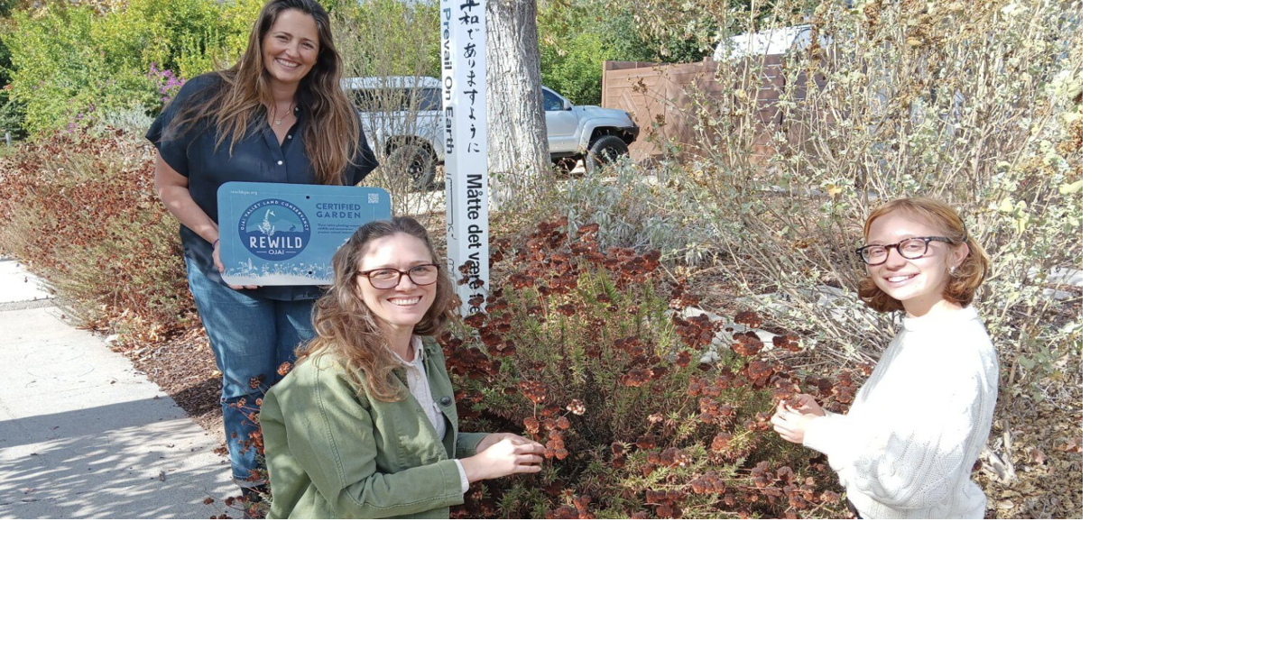Rewild Ojai grows love of native plants Environment