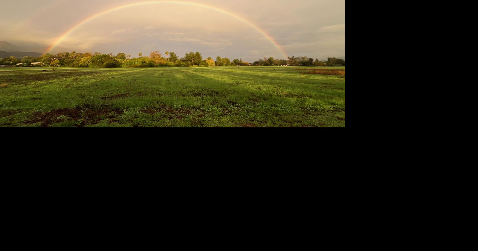 2025 REWIND | A year of your local news